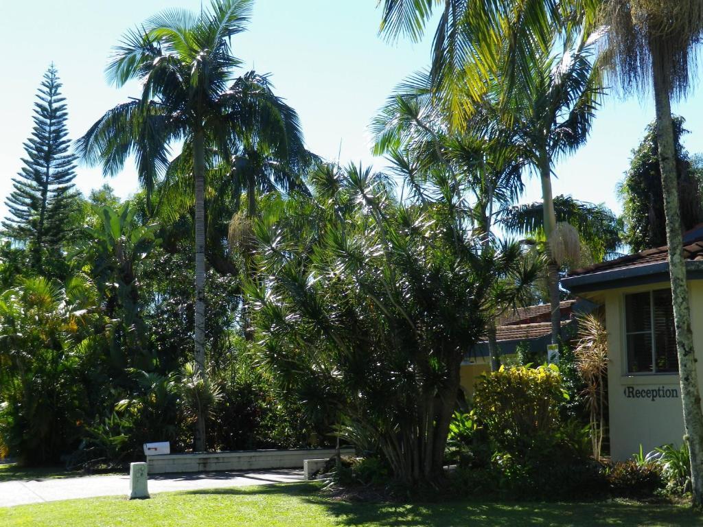 Ocean Shores Motel Ngoại thất bức ảnh